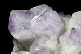 Wide Amethyst Crystal Cluster - Spectacular Display Piece #78154-5